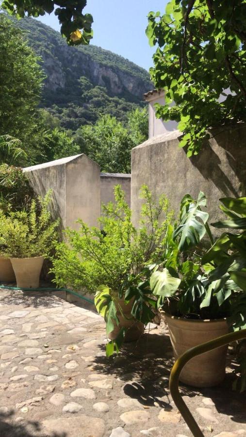 Casa Rural El Vihuelo El Bosque Exterior photo