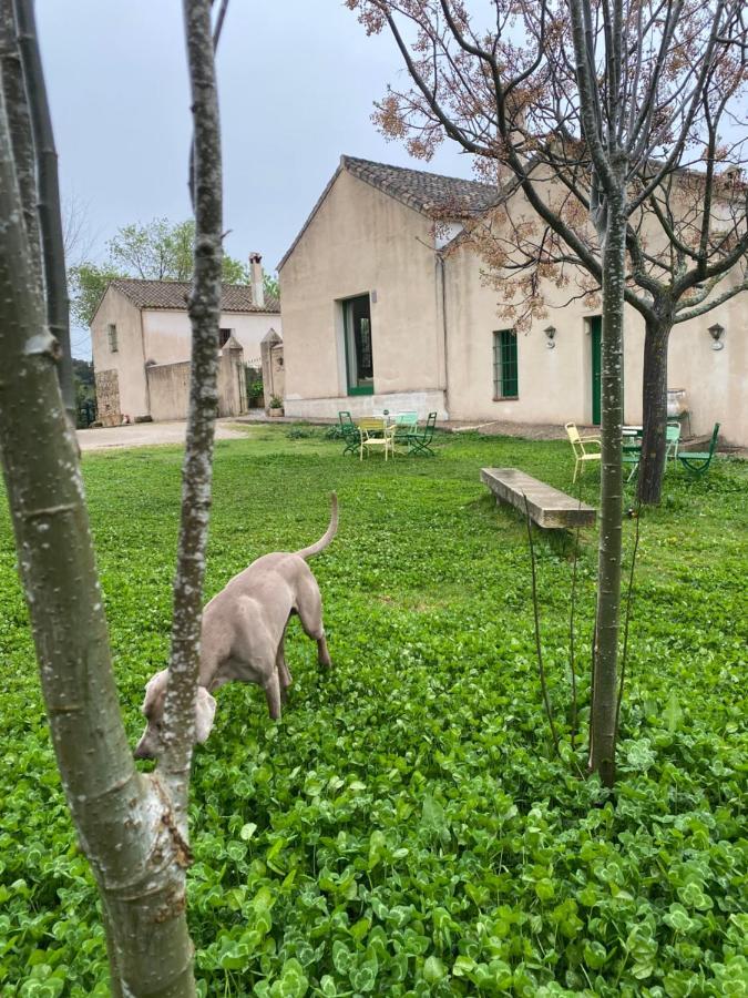 Casa Rural El Vihuelo El Bosque Exterior photo