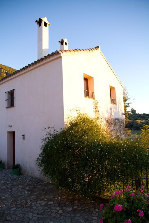 Casa Rural El Vihuelo El Bosque Exterior photo
